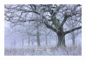 Hilissügisene unenägu