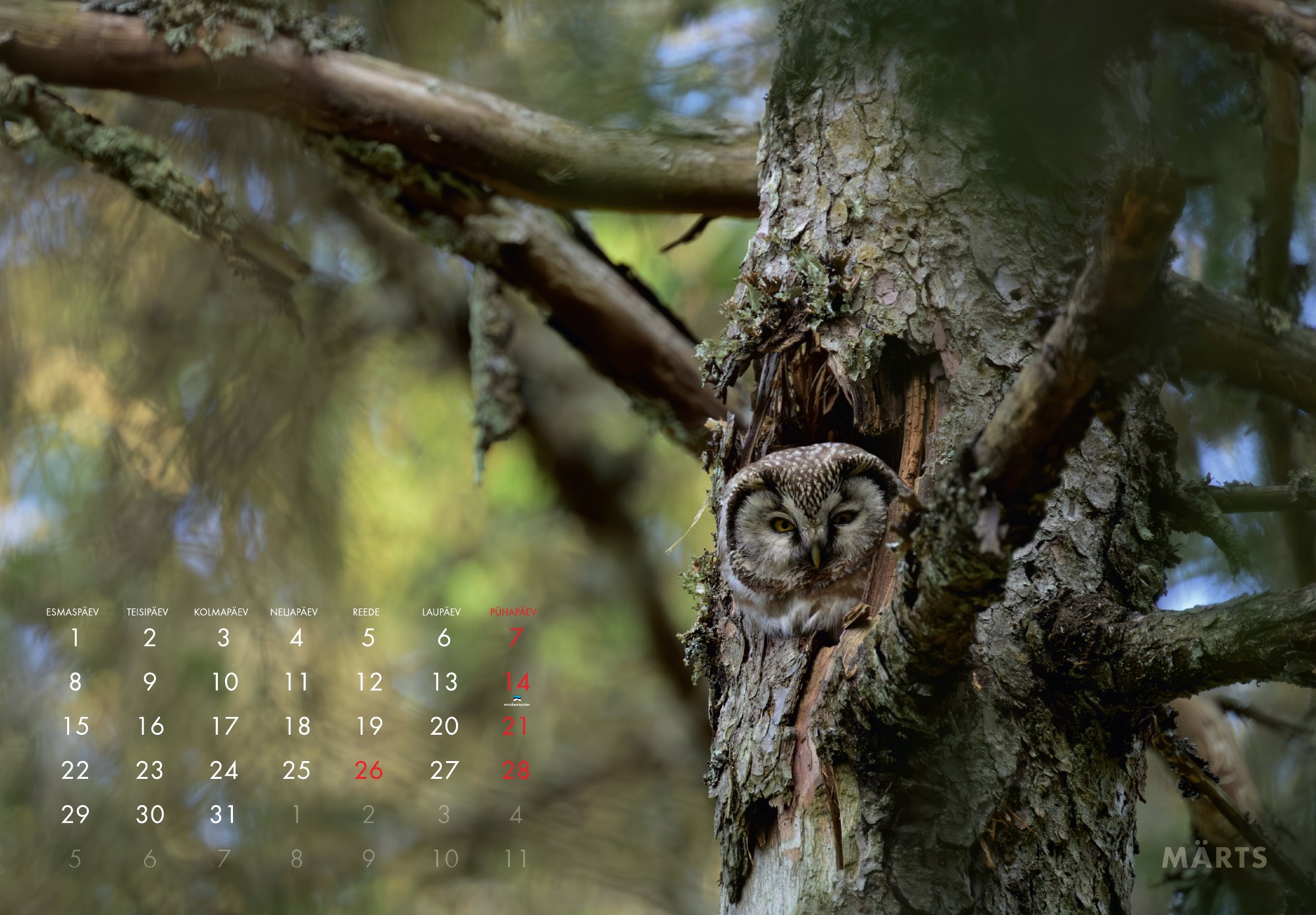 A3 fotokalender 2027 - Pilt 5