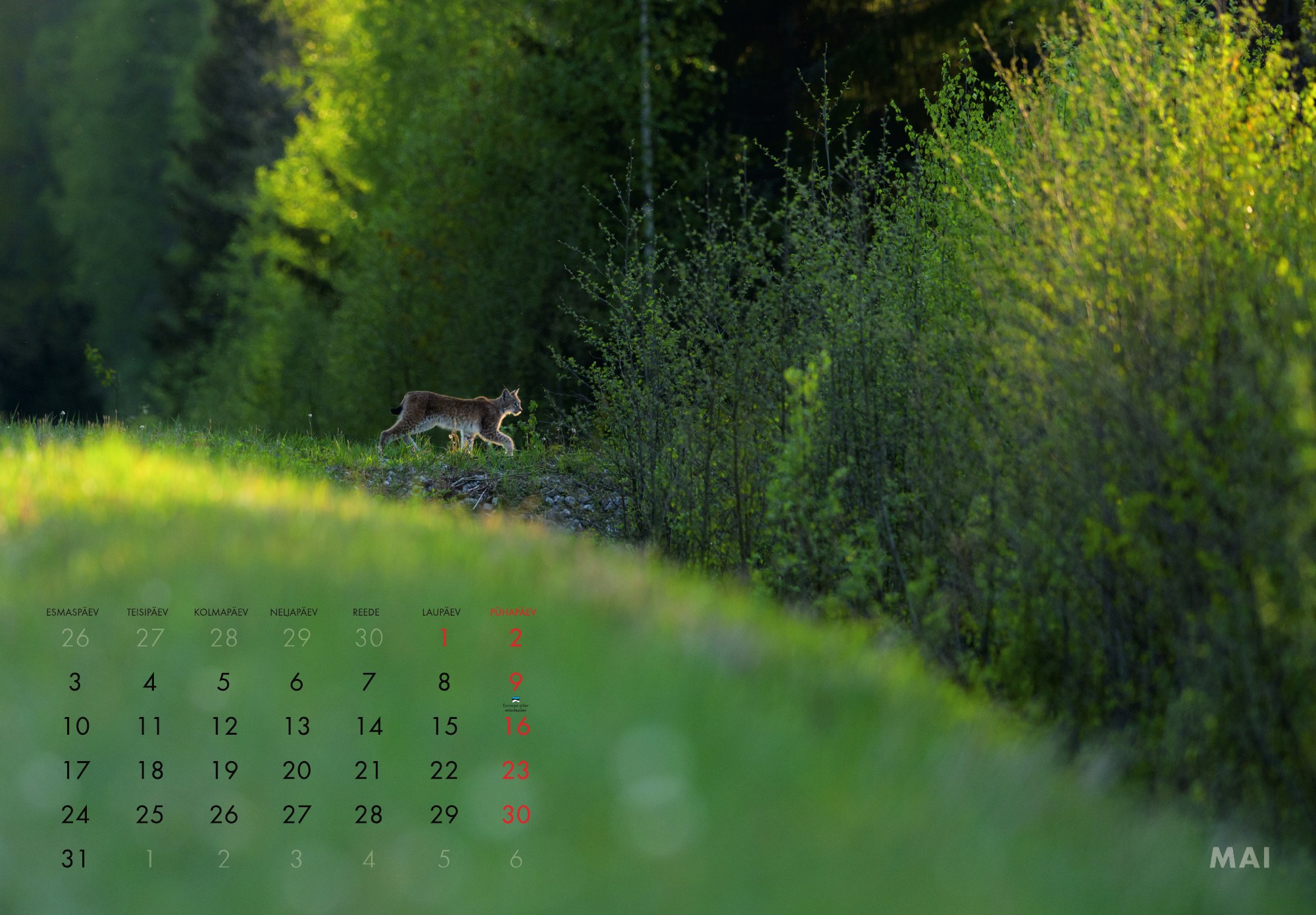 A3 fotokalender 2027 - Pilt 7