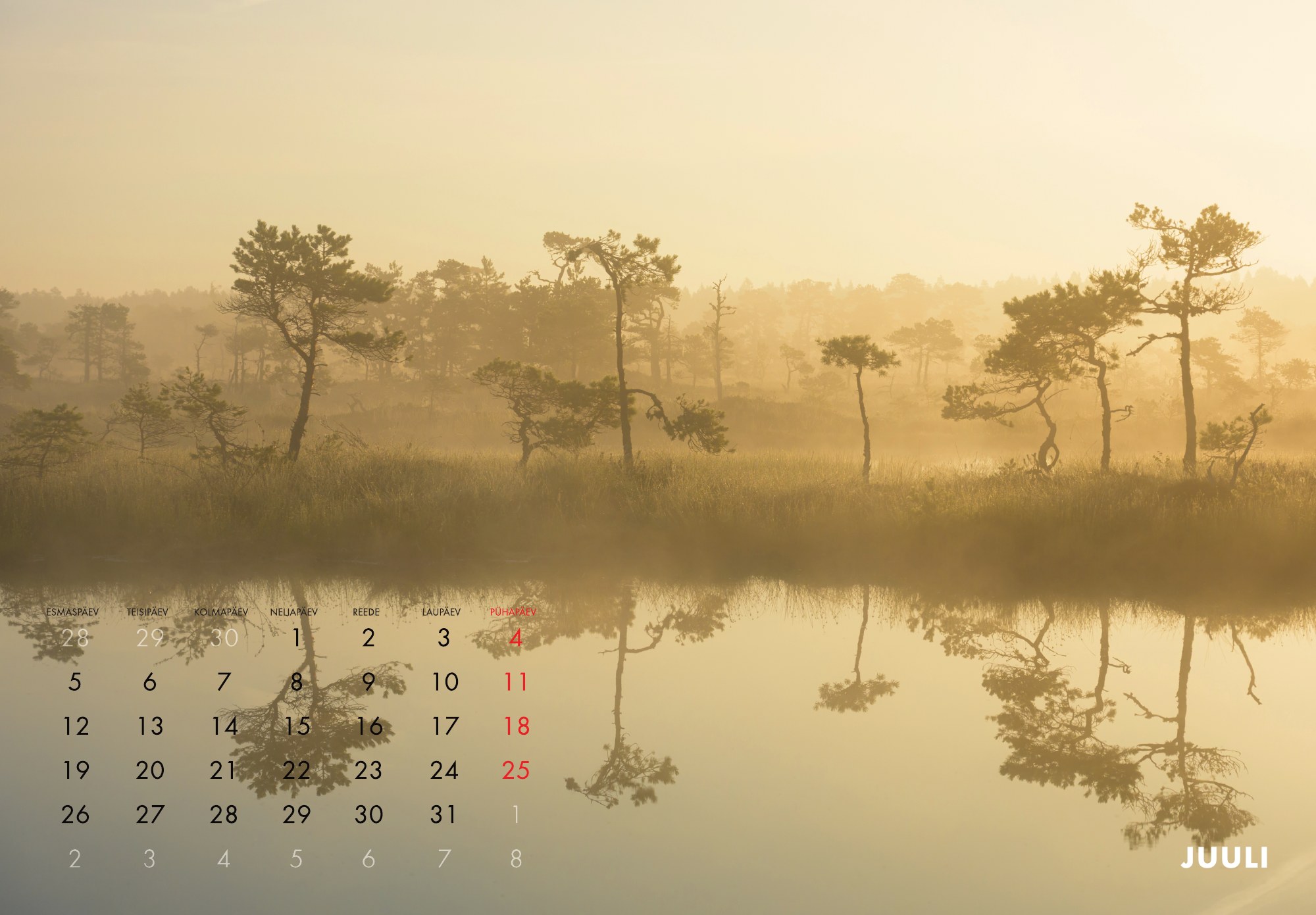 A3 fotokalender 2027 - Pilt 9
