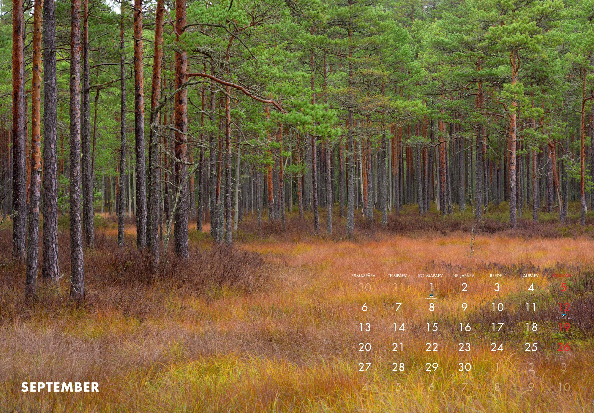 A3 fotokalender 2027 - Pilt 11