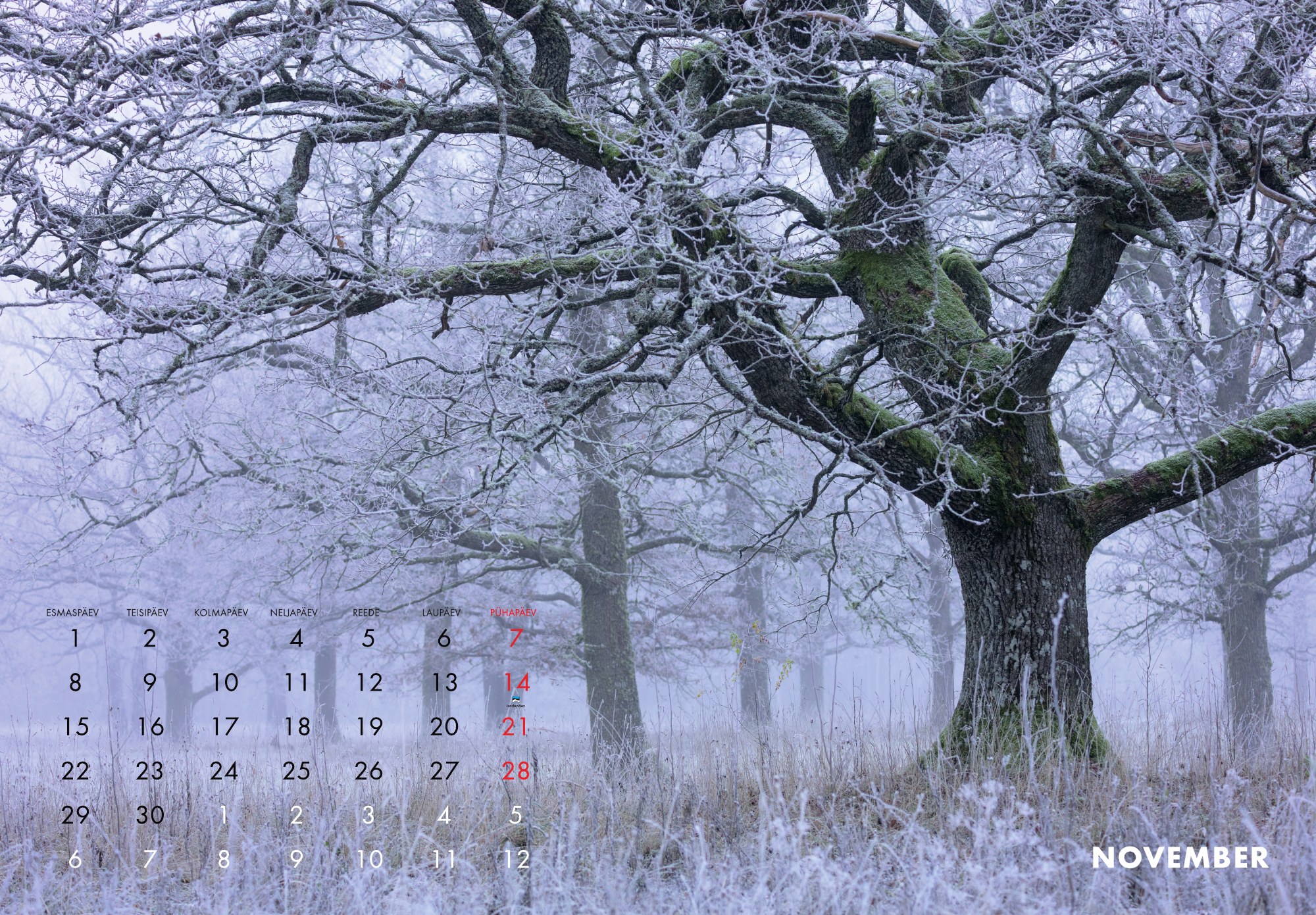 A3 fotokalender 2027 - Pilt 13