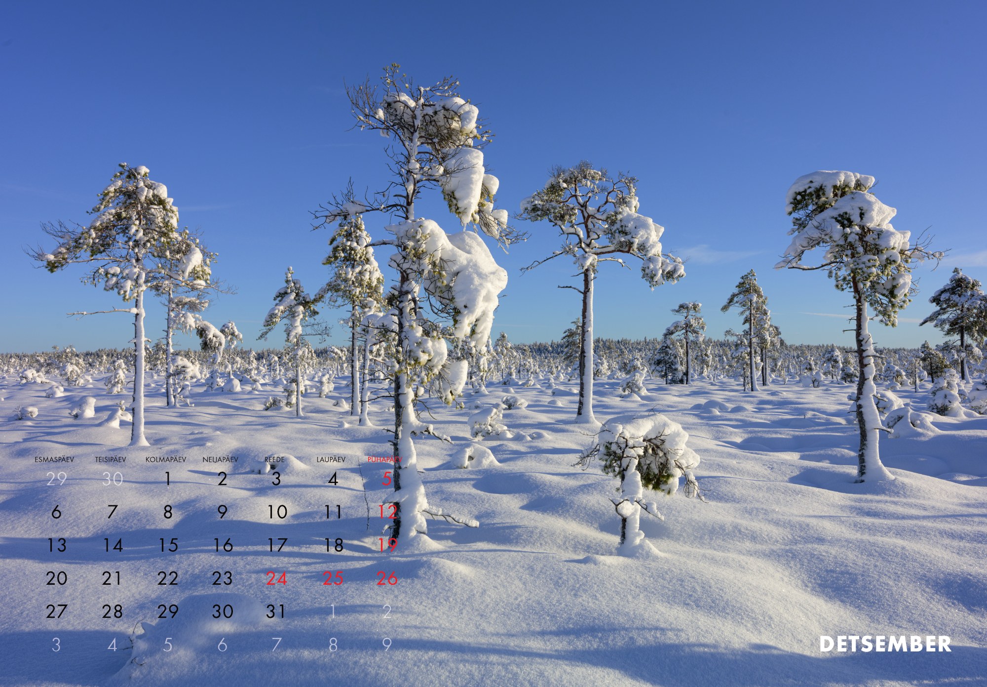 A3 fotokalender 2027 - Pilt 14