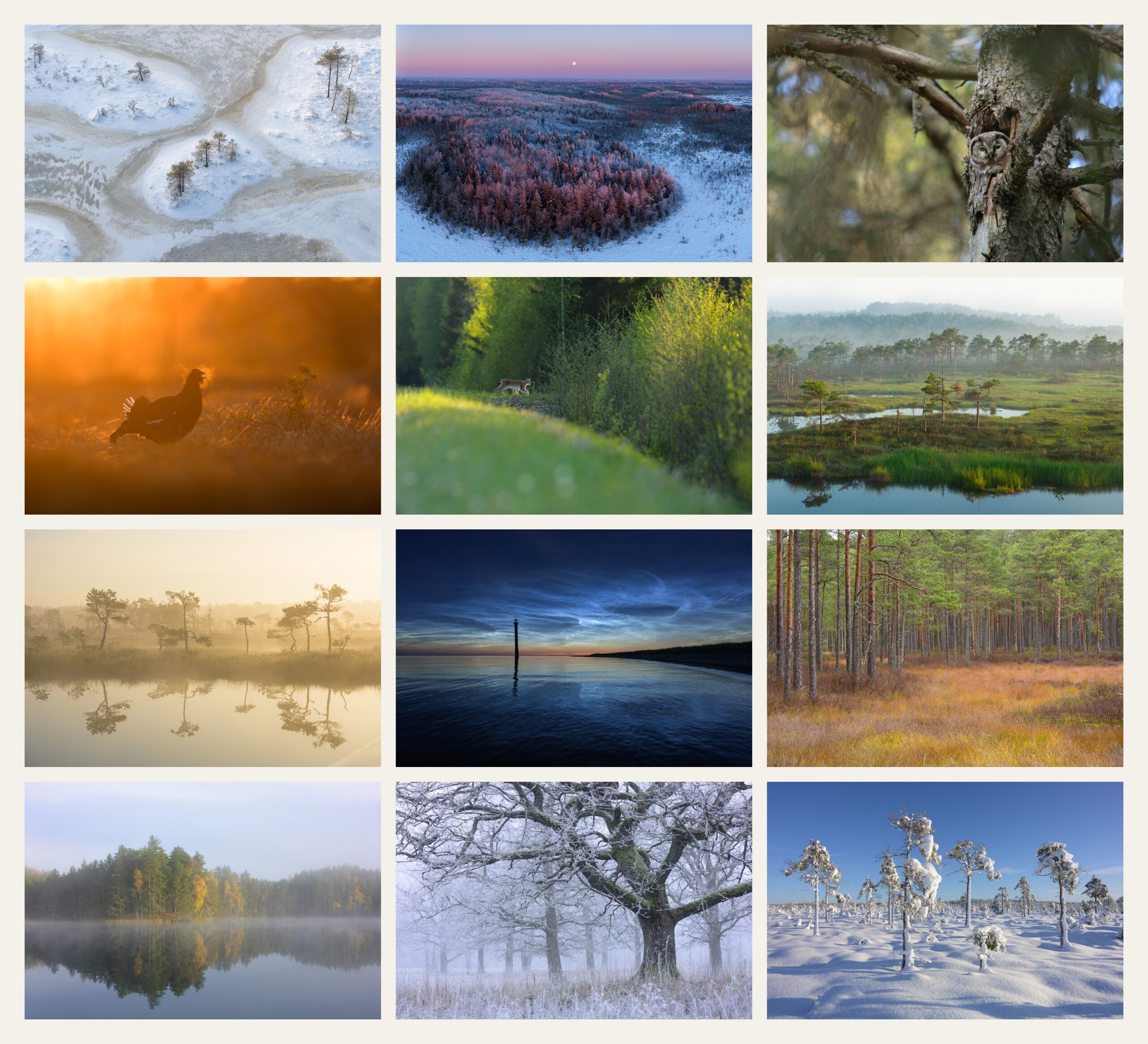 A3 fotokalender 2027 - Pilt 2