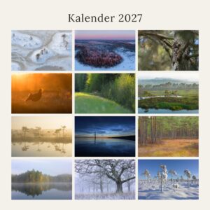 Kalender